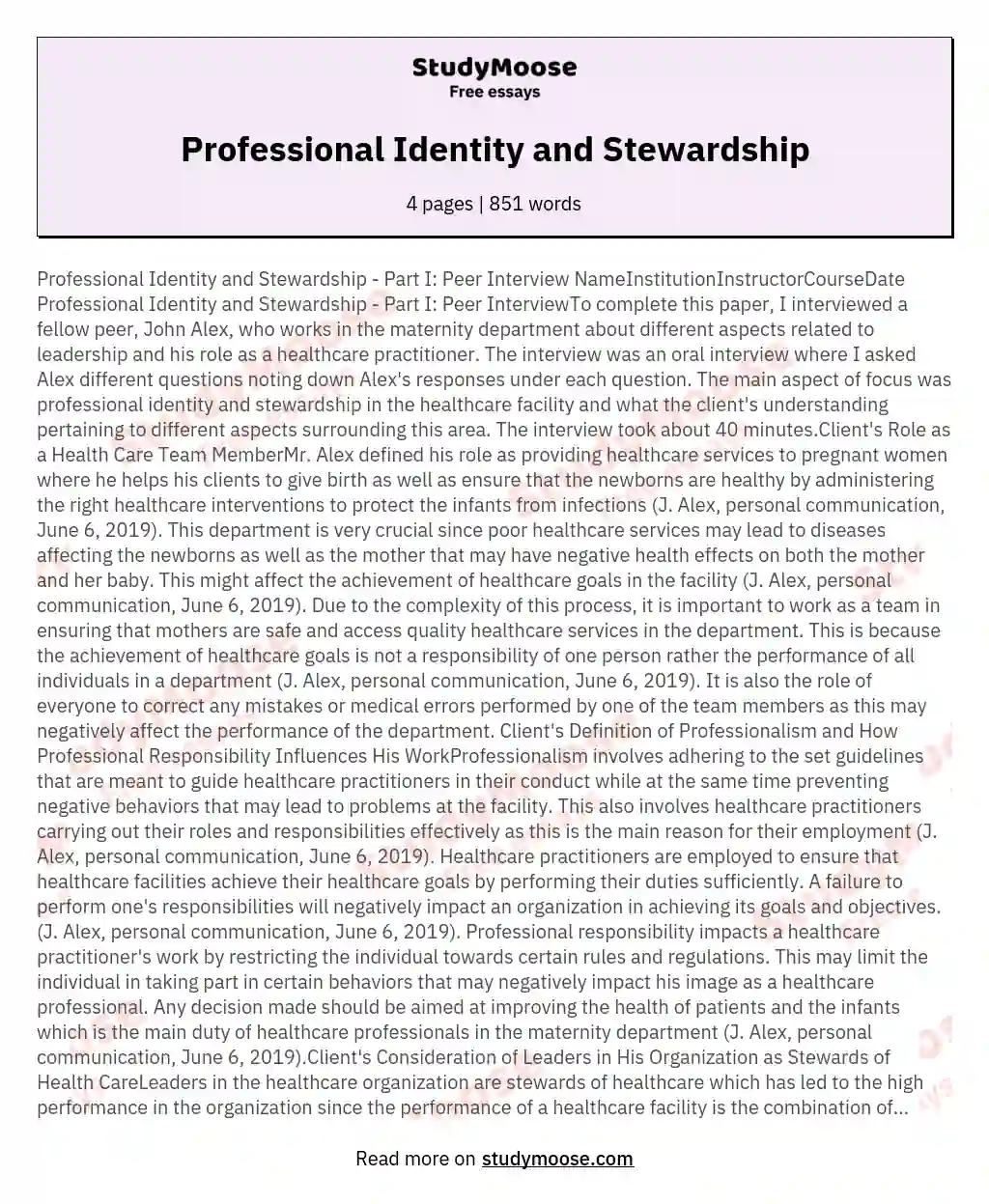Professional Identity and Stewardship essay