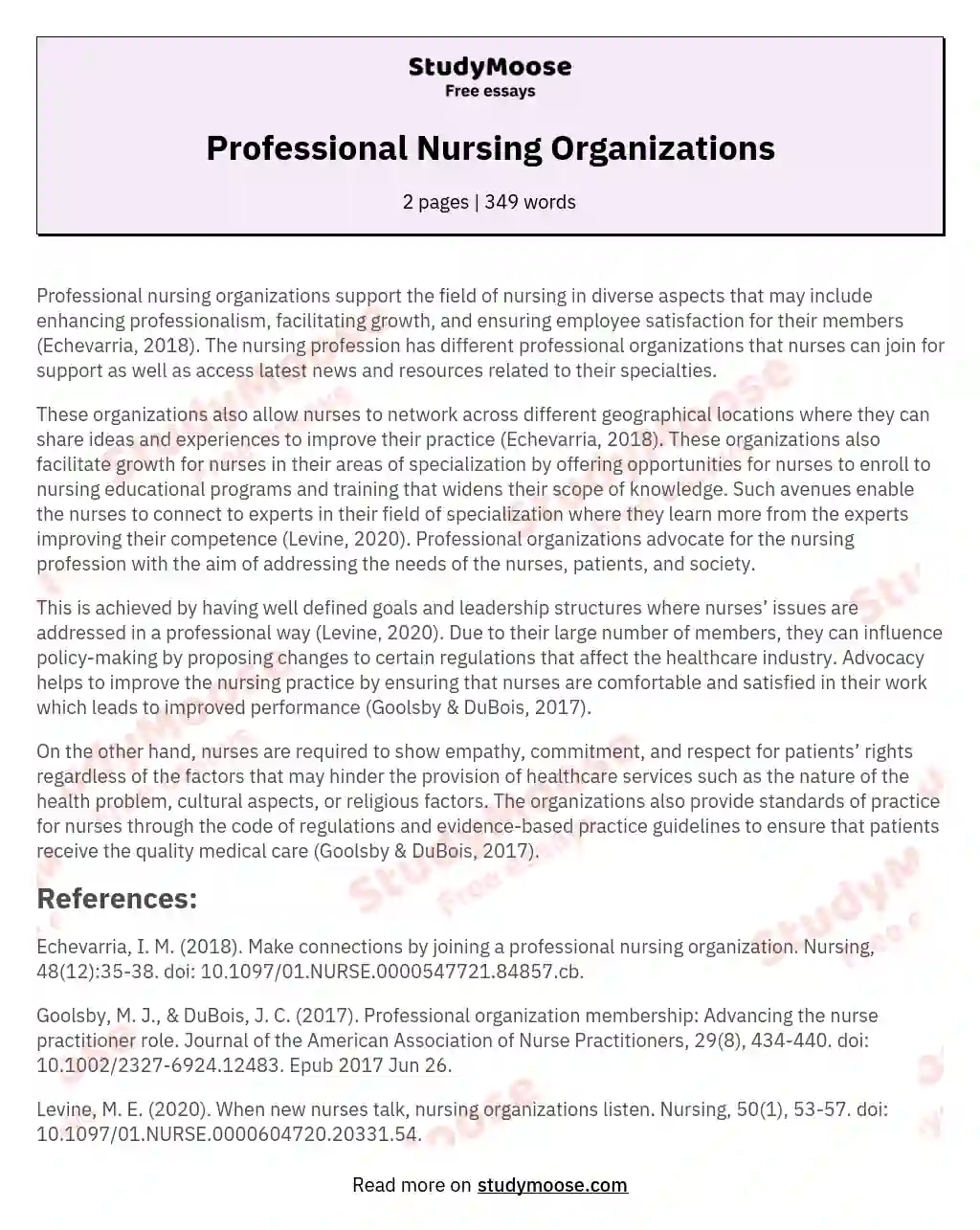 Professional Nursing Organizations essay