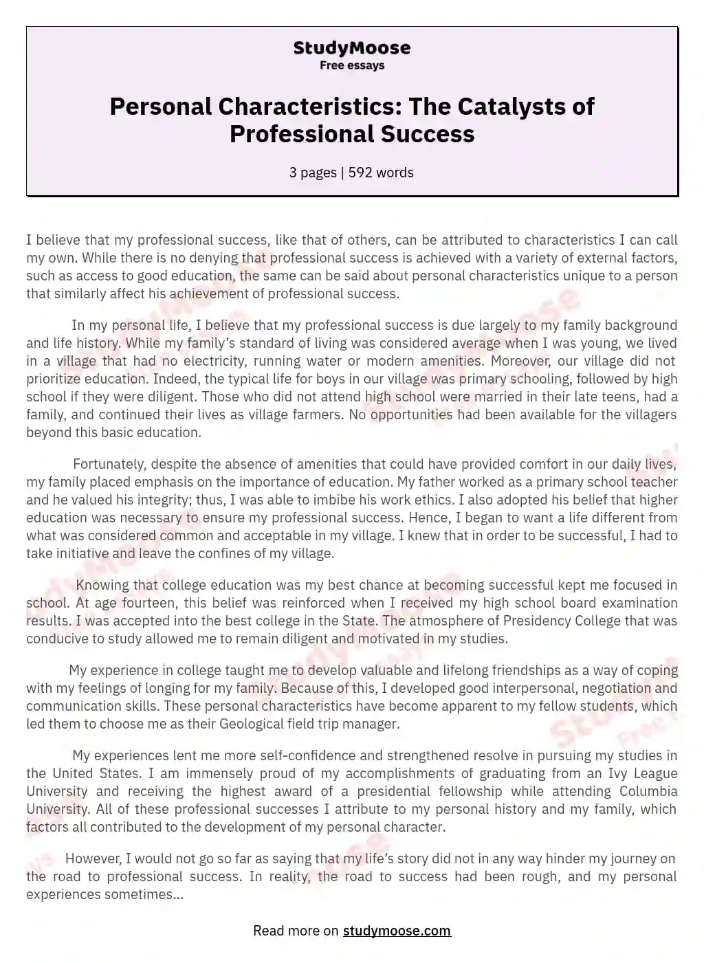 sample essay about professionalism