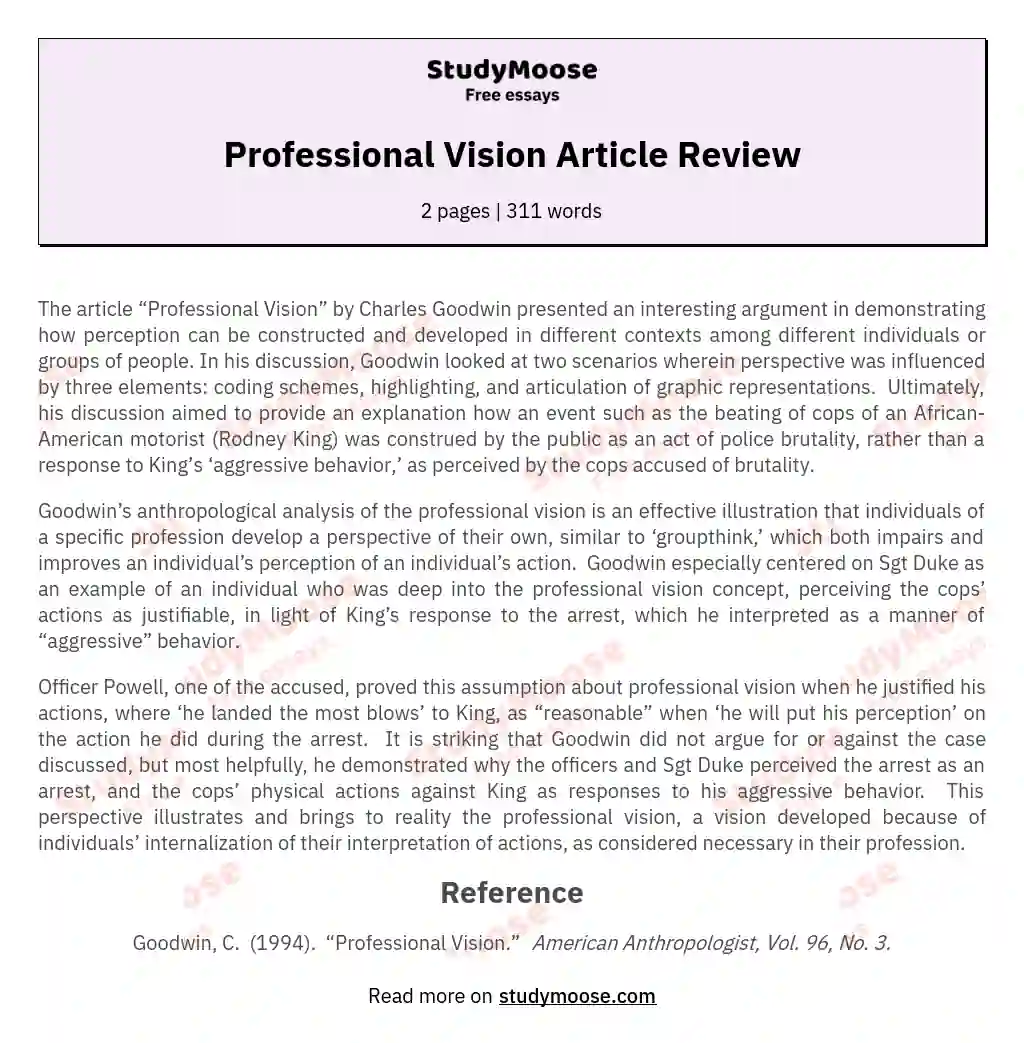 Professional Vision Article Review essay