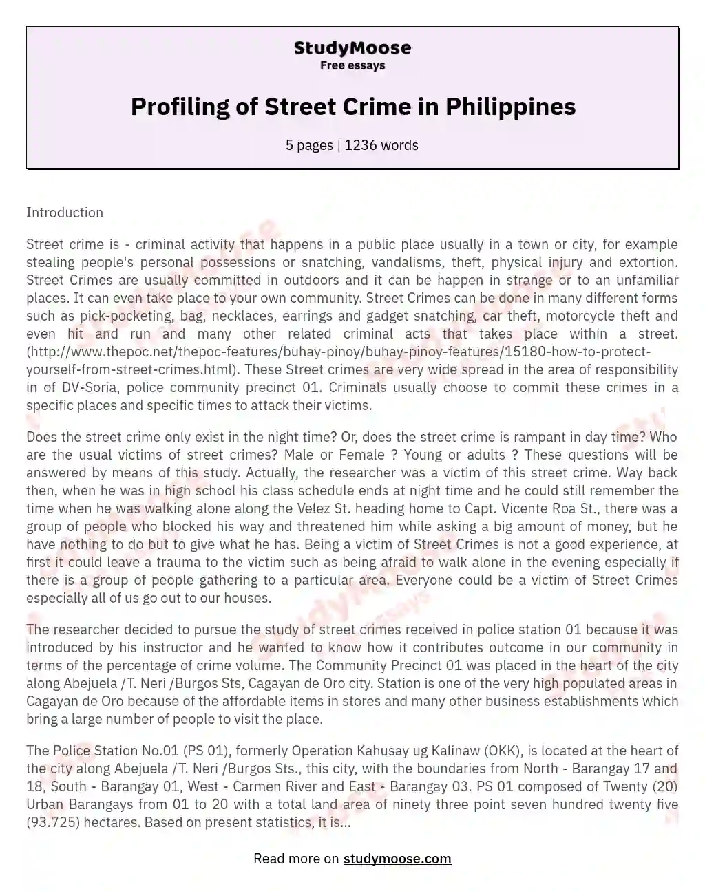 Profiling of Street Crime in Philippines essay