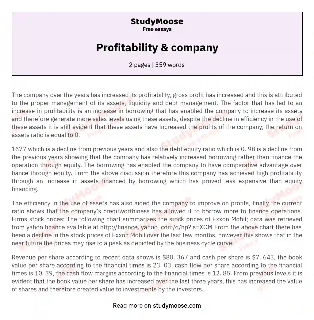 Profitability &amp; company essay