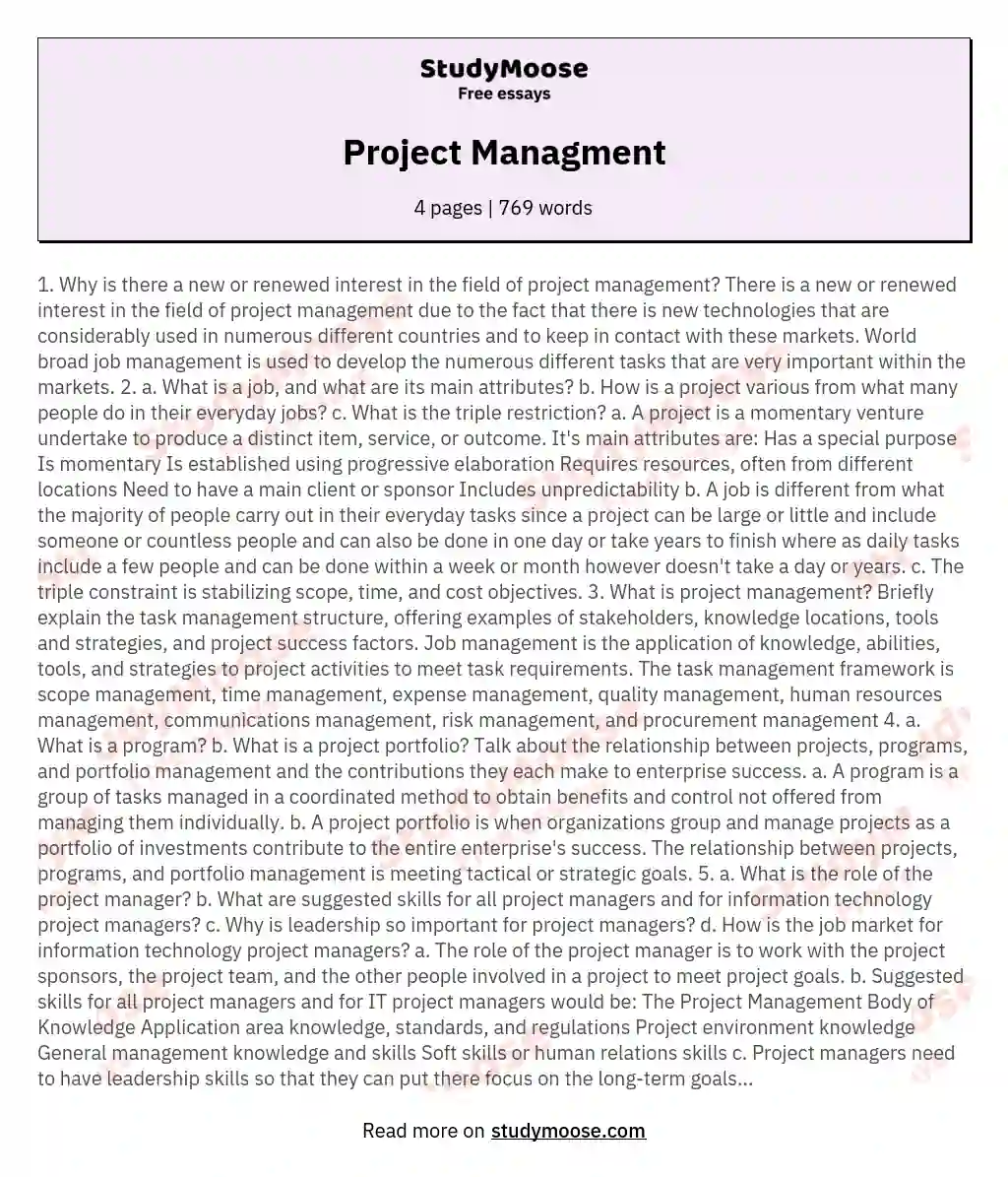 Project Managment essay
