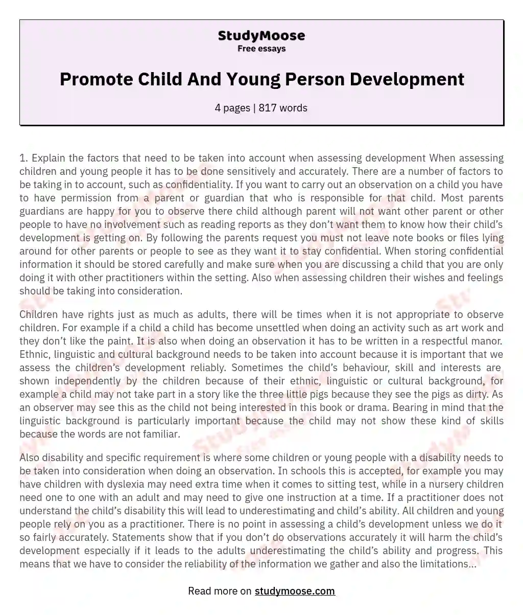 Promote Child And Young Person Development essay