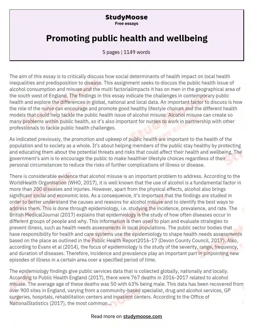Promoting public health and wellbeing essay