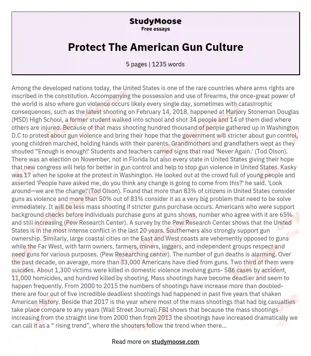 Protect The American Gun Culture essay