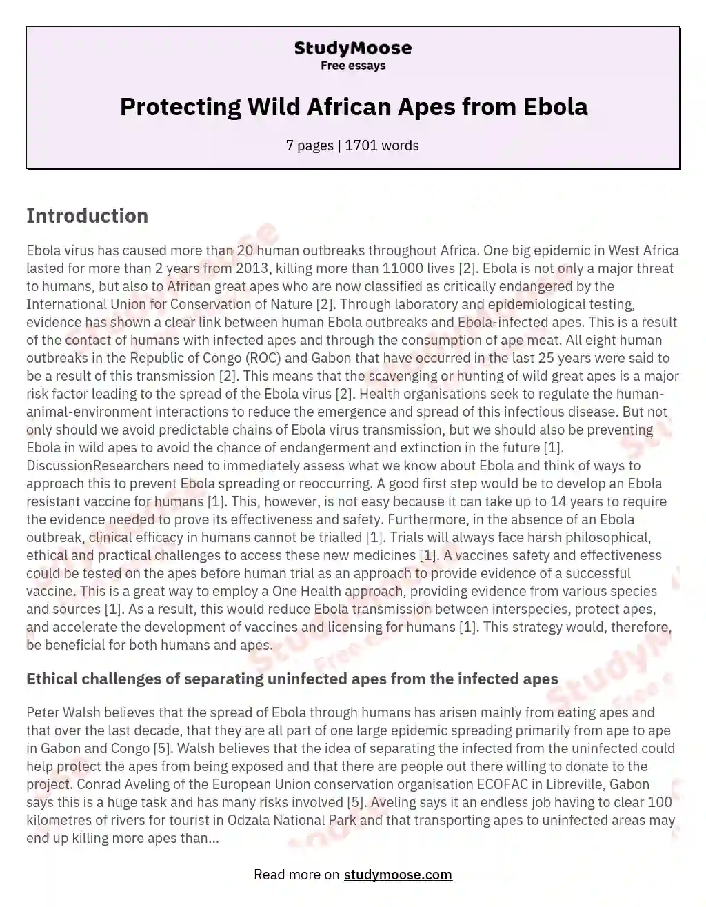 Protecting Wild African Apes from Ebola essay