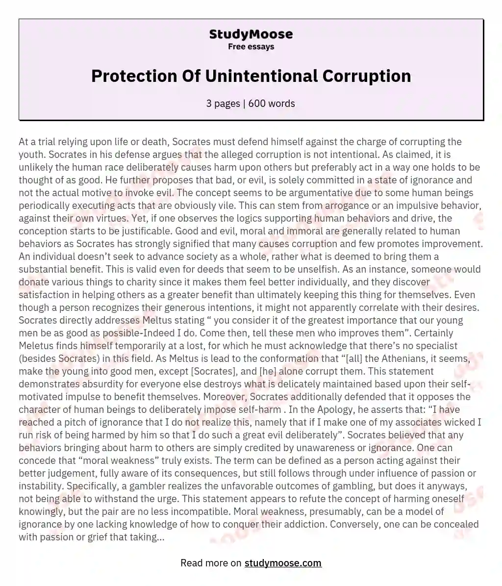 Protection Of Unintentional Corruption essay
