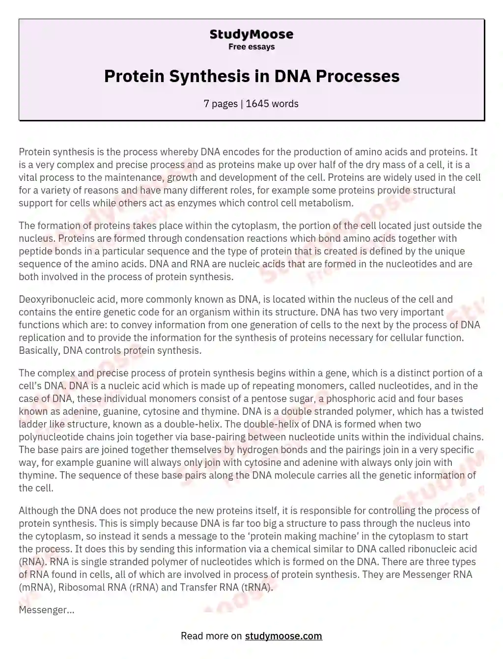 Protein Synthesis in DNA Processes essay