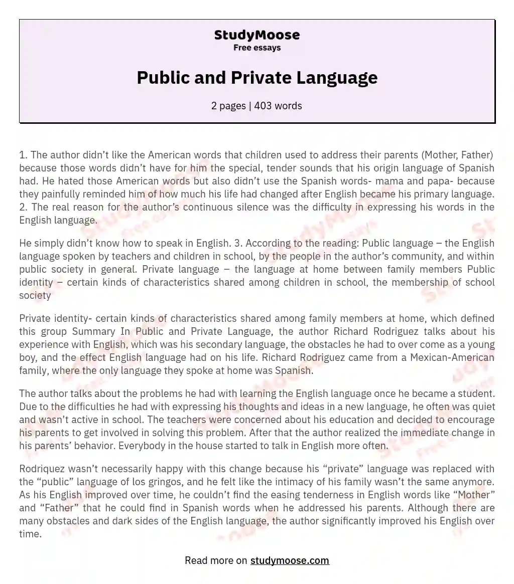 Public and Private Language essay