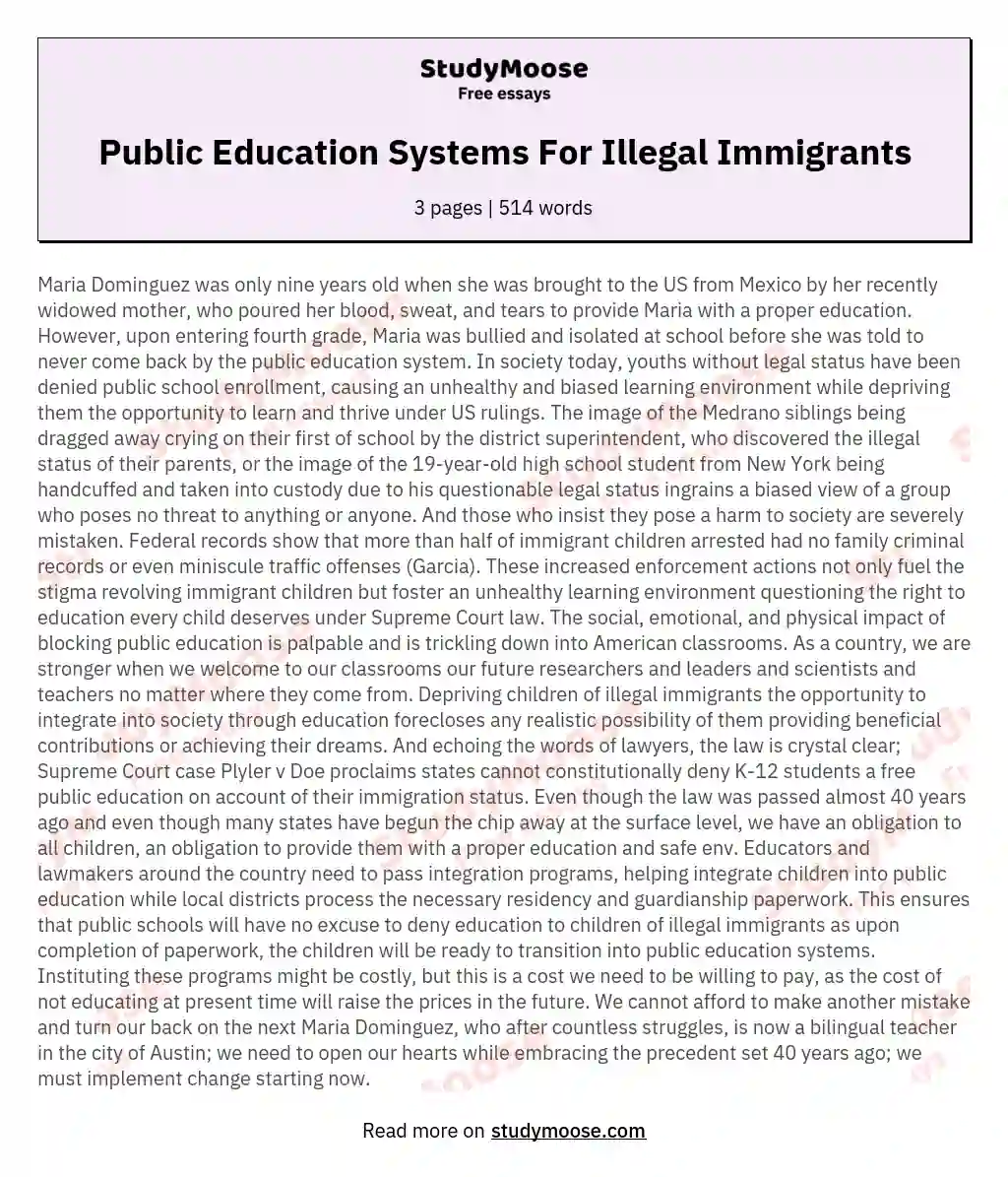 Public Education Systems For Illegal Immigrants essay
