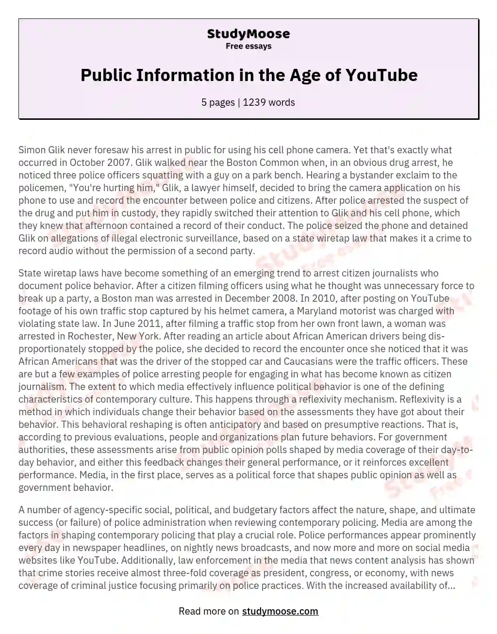Public Information in the Age of YouTube essay