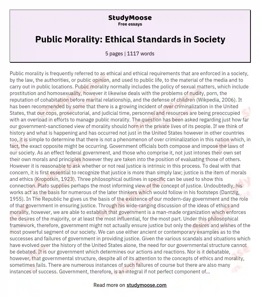 Public Morality: Ethical Standards in Society essay