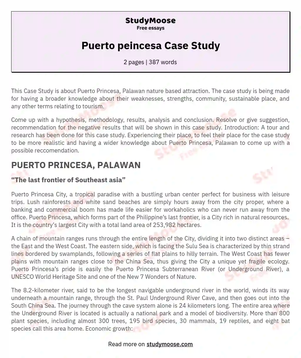 Puerto peincesa Case Study essay
