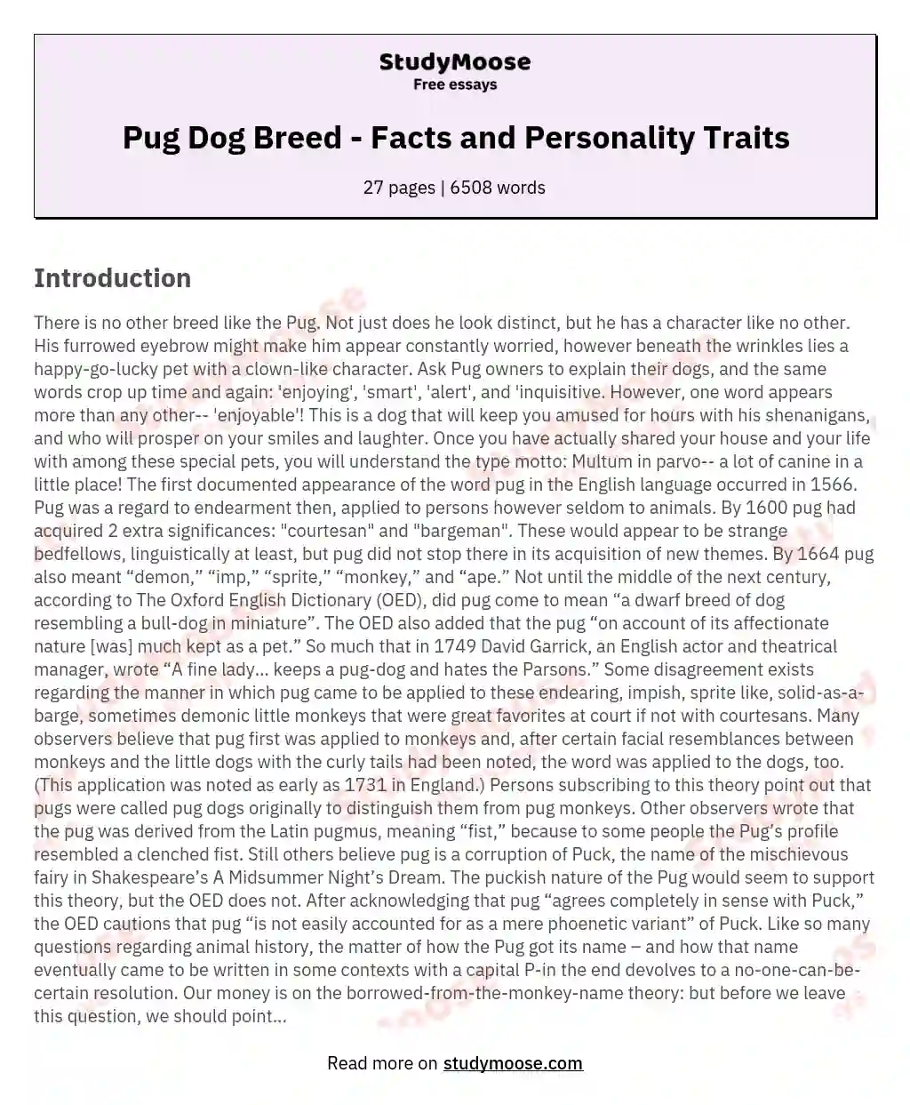 Pug Dog Breed - Facts and Personality Traits
