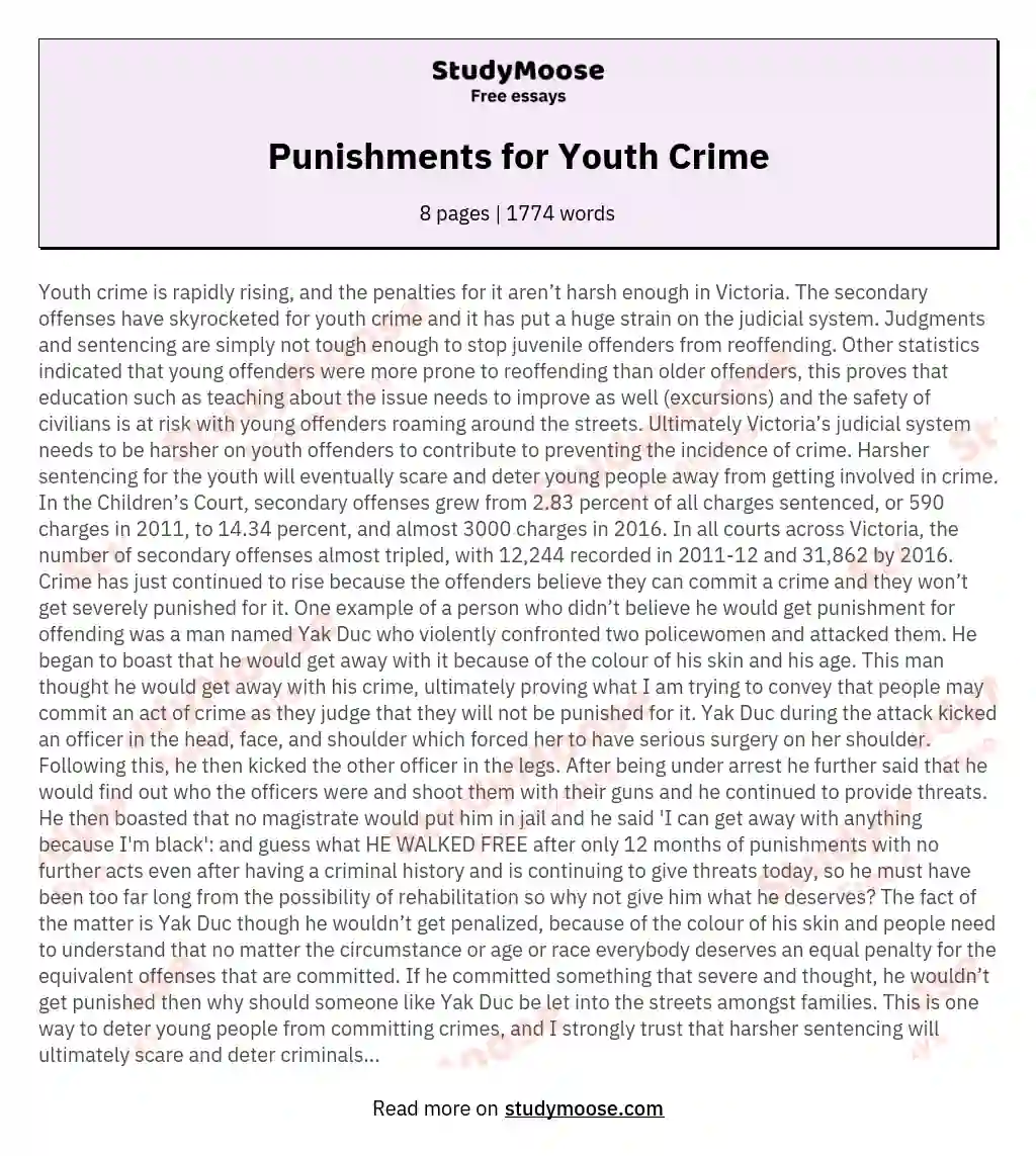 Punishments for Youth Crime essay
