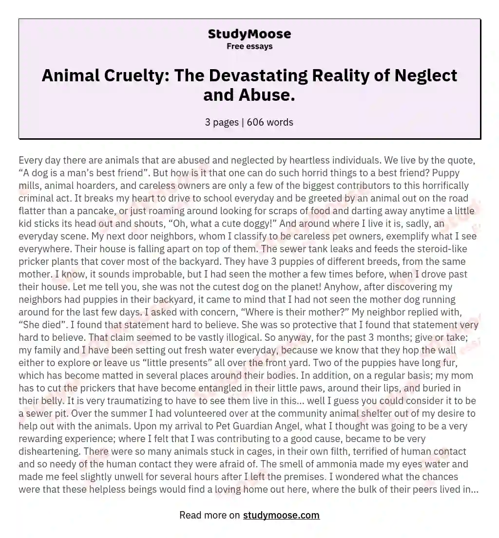 essay about love of animals