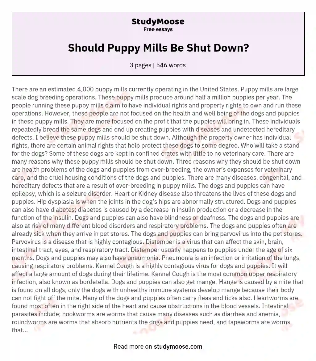 Should Puppy Mills Be Shut Down?