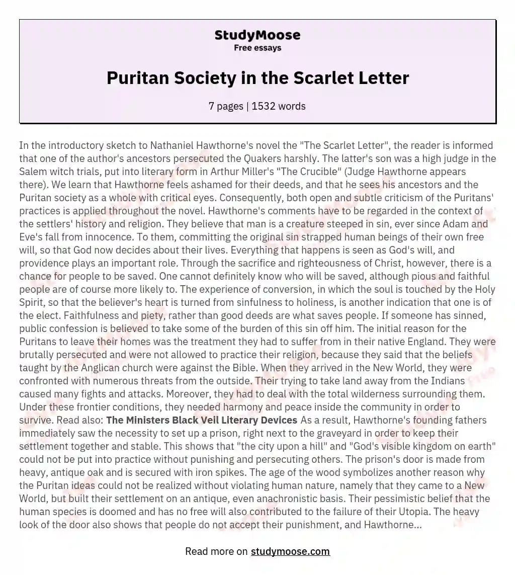 Puritan Society in the Scarlet Letter essay