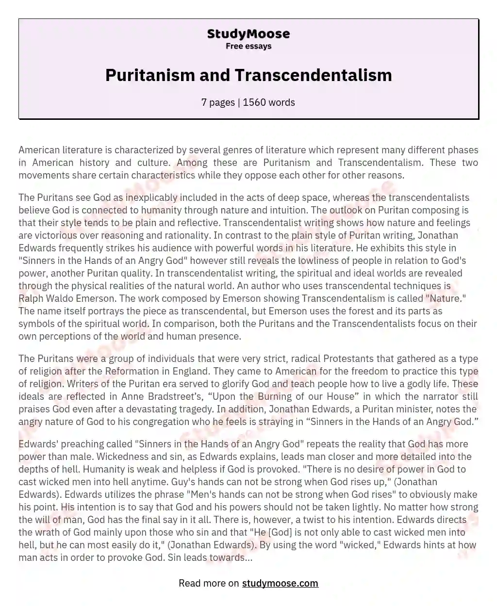 Puritanism and Transcendentalism essay