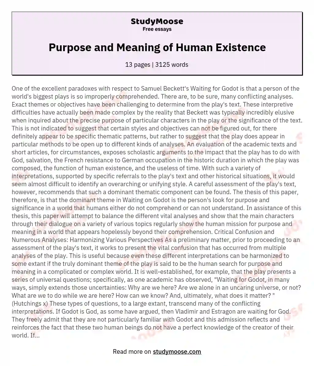 Purpose and Meaning of Human Existence essay