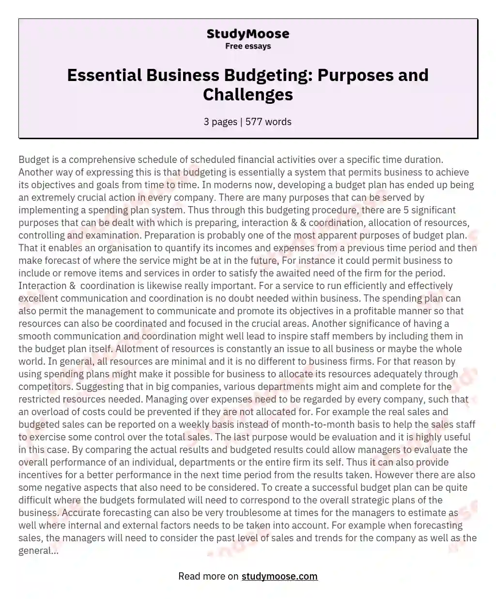 Essential Business Budgeting: Purposes and Challenges essay