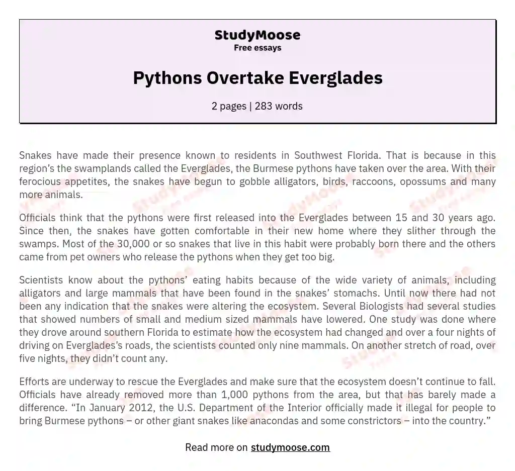 Pythons Overtake Everglades essay