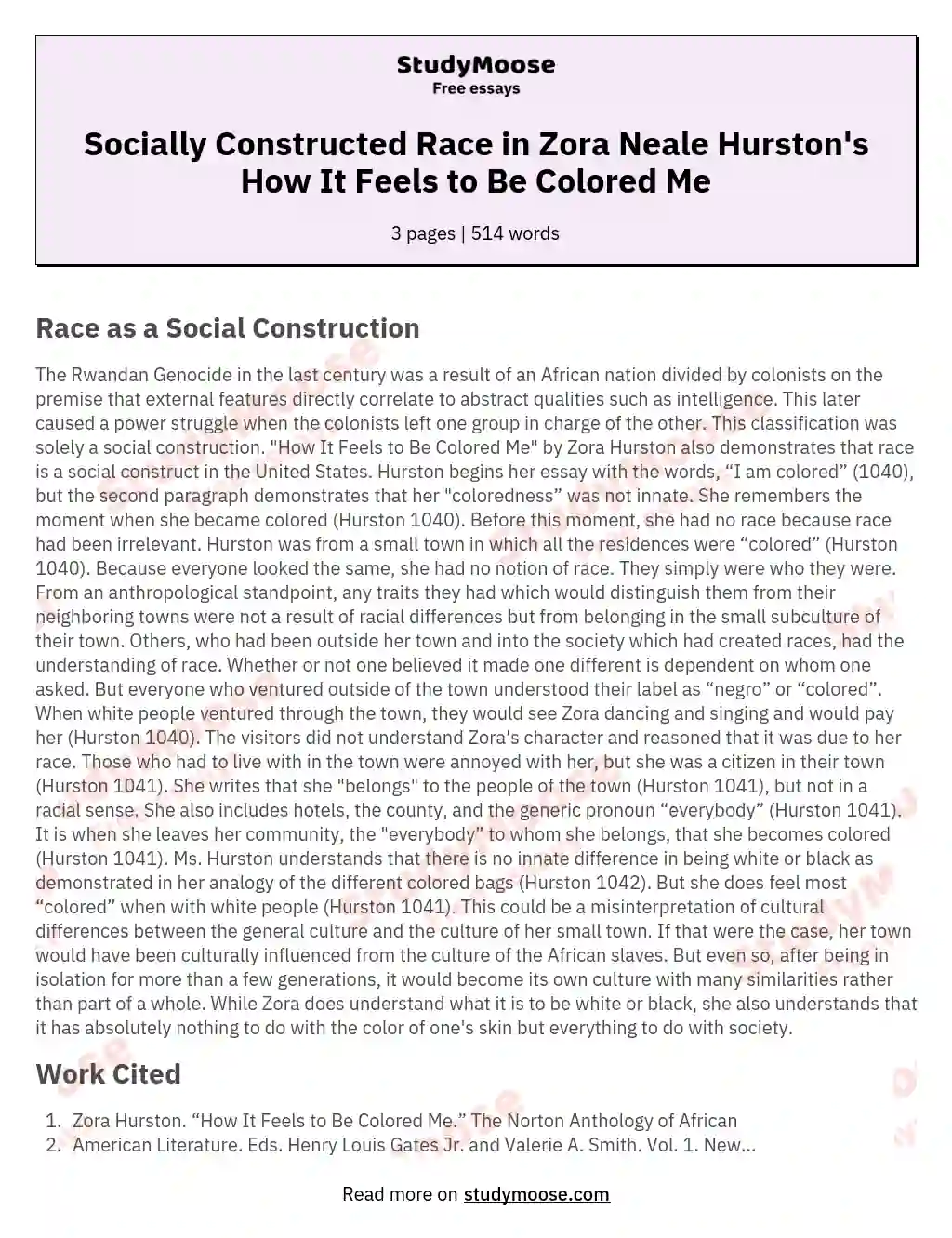 The Fluidity of Race: A Social Construct essay
