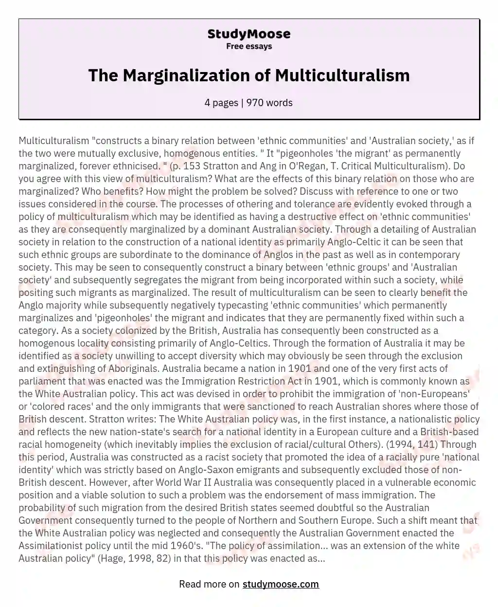 The Marginalization of Multiculturalism essay