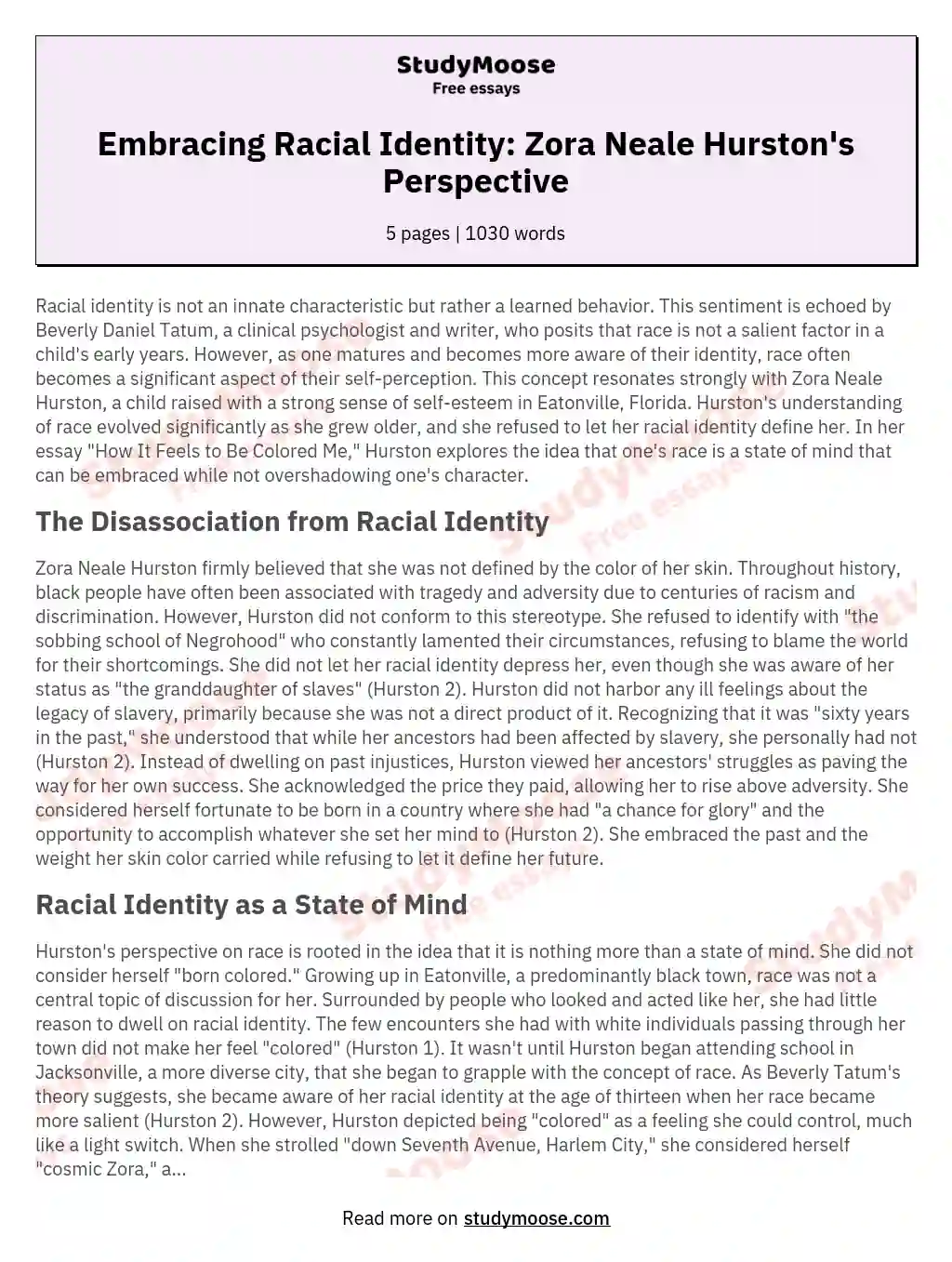 Embracing Racial Identity: Zora Neale Hurston's Perspective essay