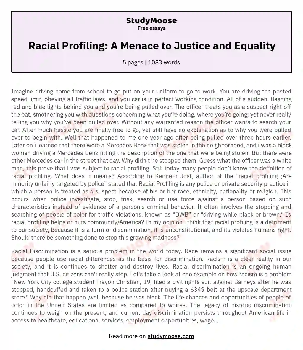 Racial Profiling: A Menace to Justice and Equality essay