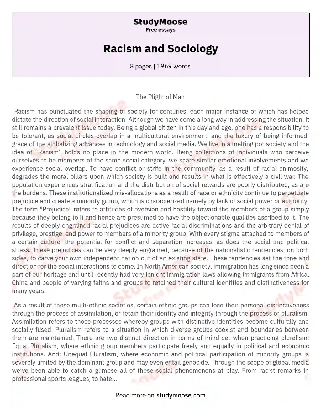 The Modern Plight of Racism essay