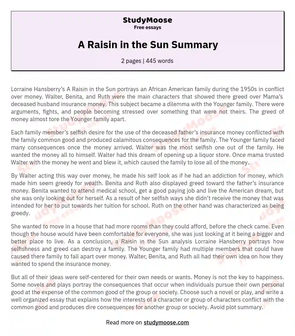 A Raisin in the Sun Summary essay