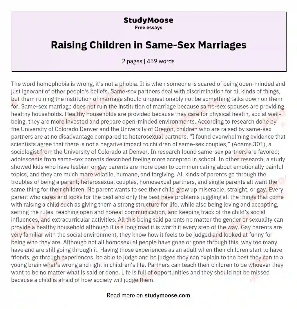 Raising Children in Same-Sex Marriages essay