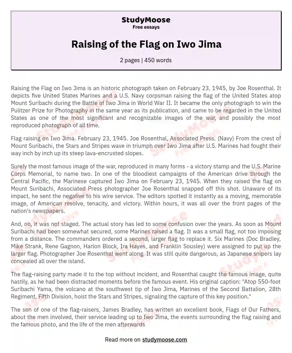 Raising of the Flag on Iwo Jima essay