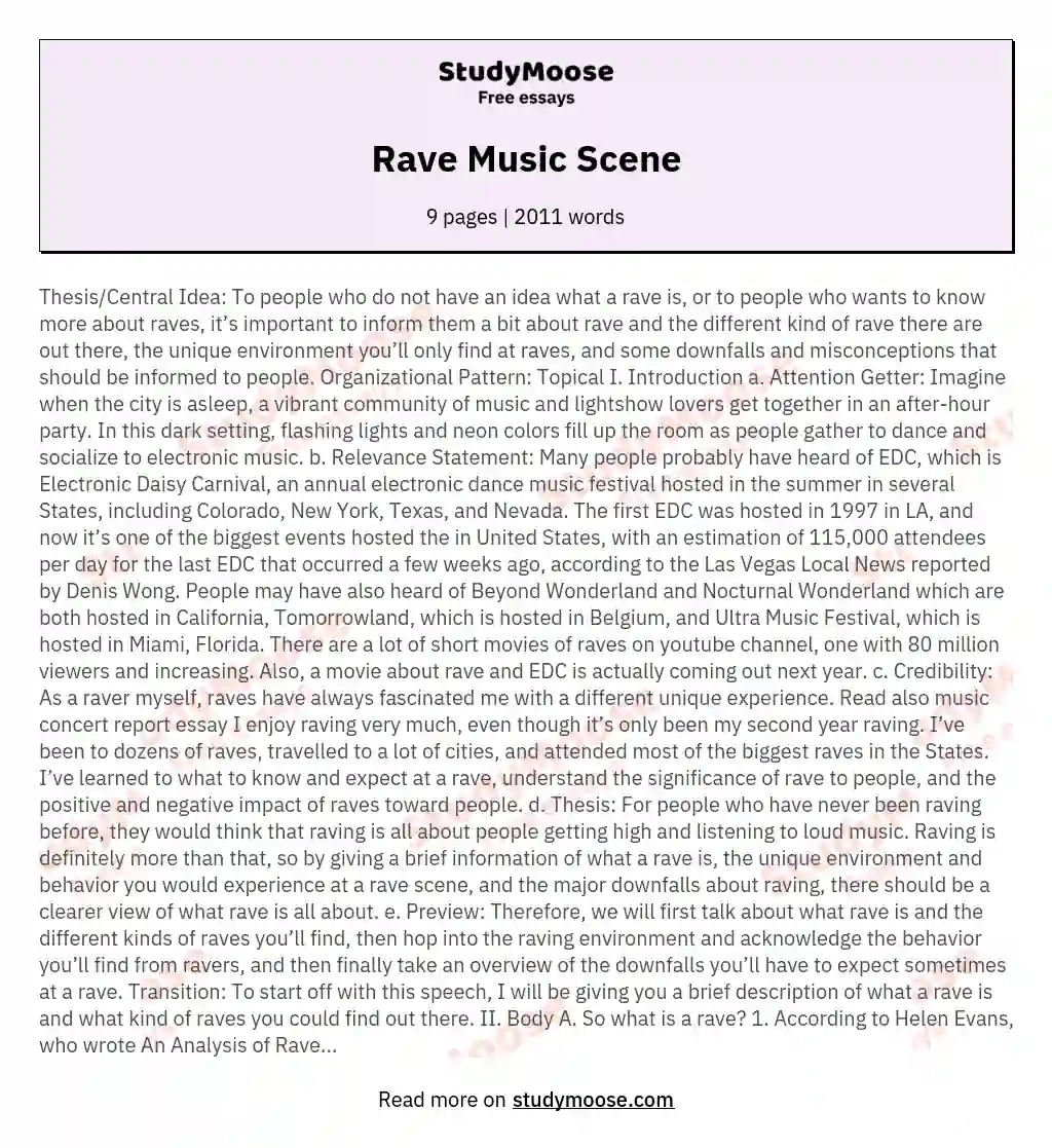 Rave Music Scene essay