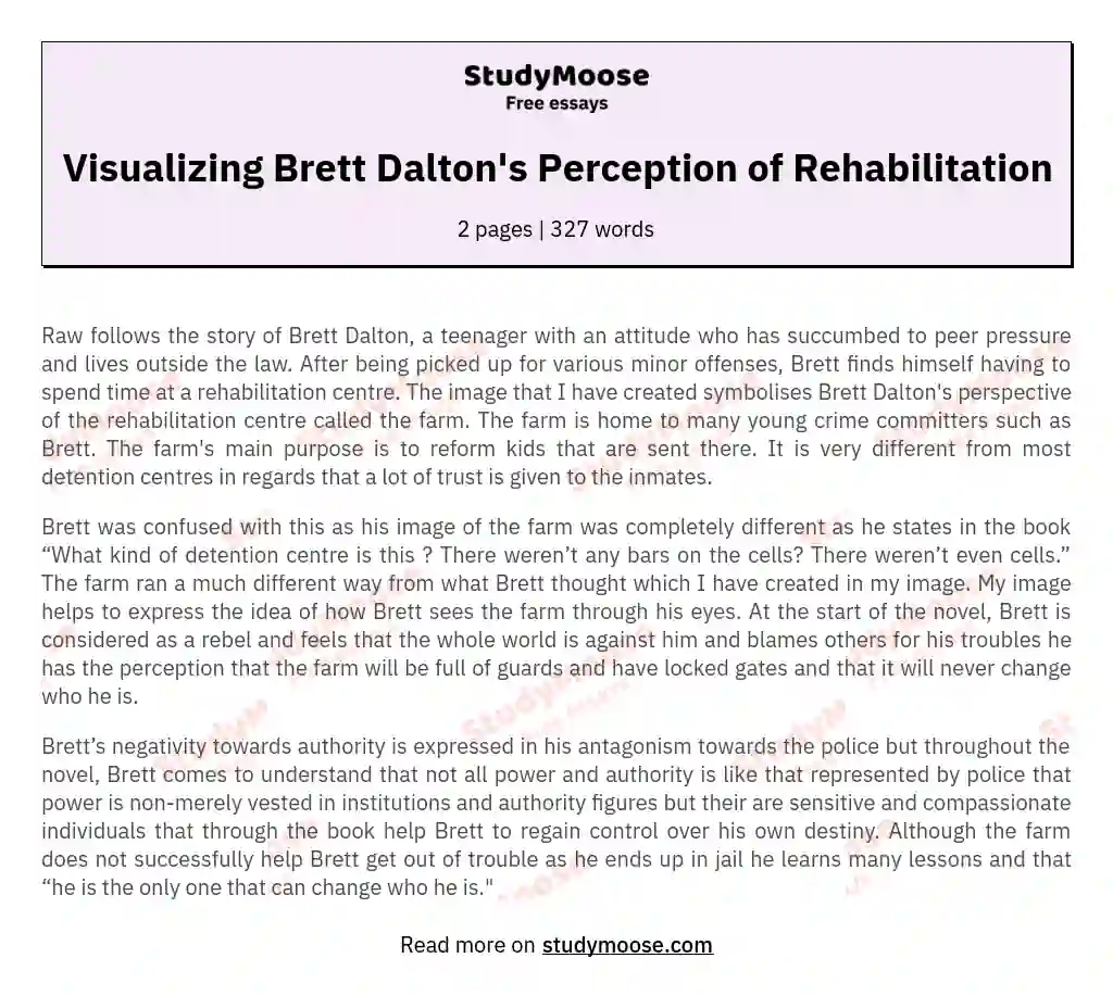 Visualizing Brett Dalton's Perception of Rehabilitation essay