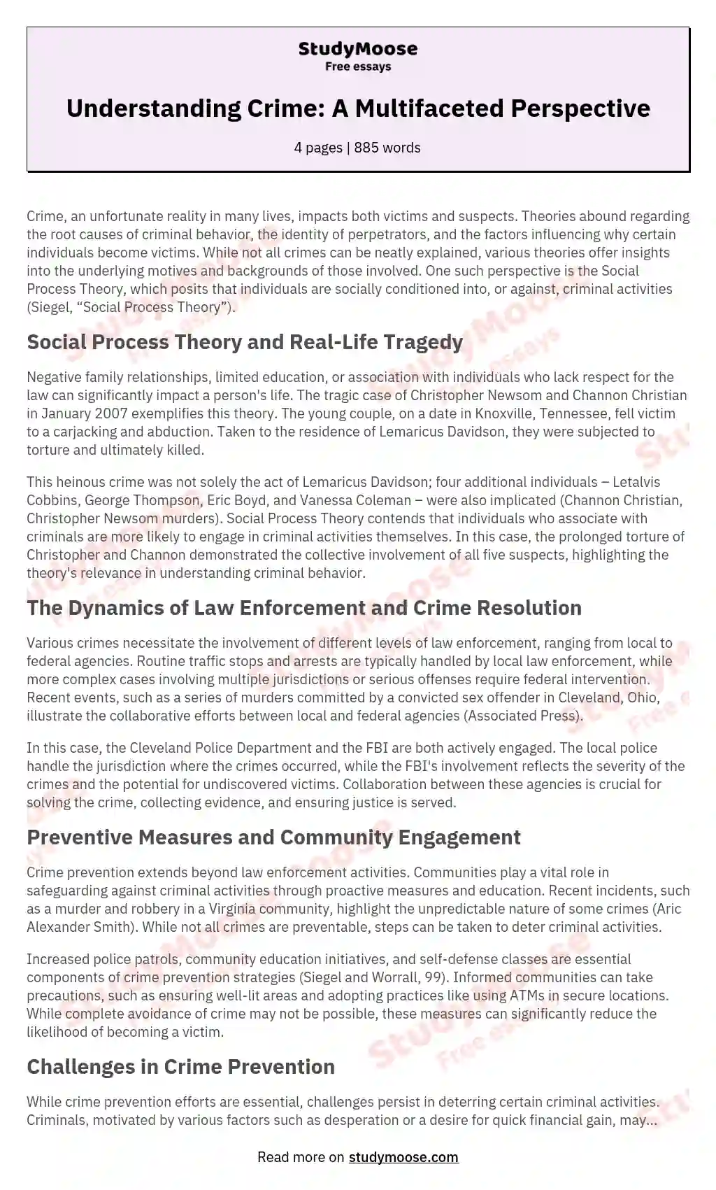 Understanding Crime: A Multifaceted Perspective essay