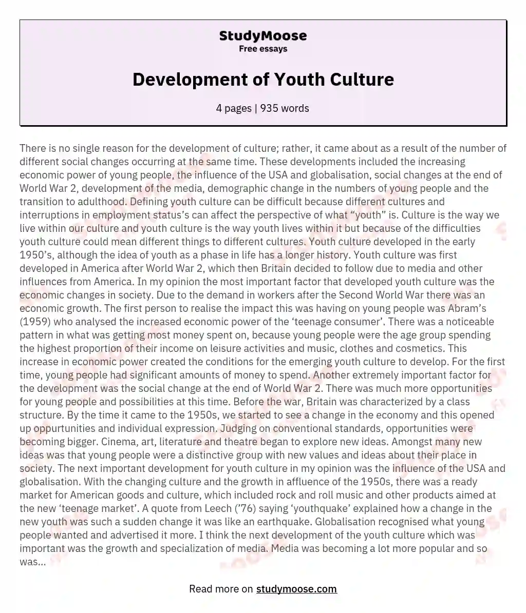 Development of Youth Culture essay