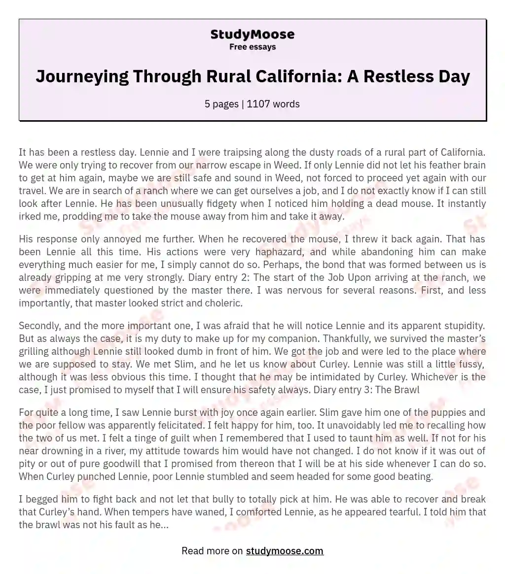 Journeying Through Rural California: A Restless Day essay