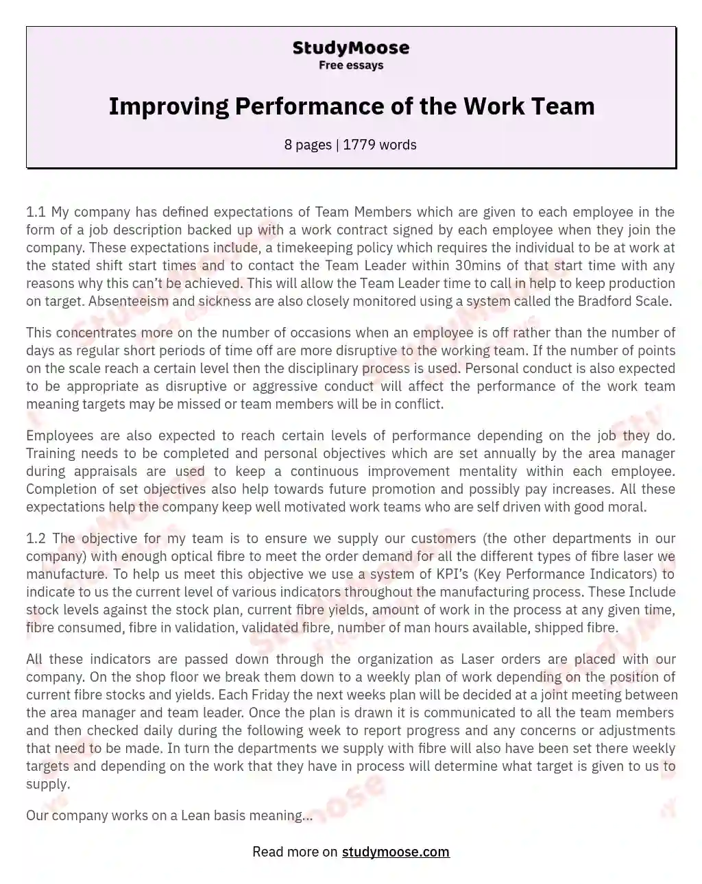 Improving Performance of the Work Team essay
