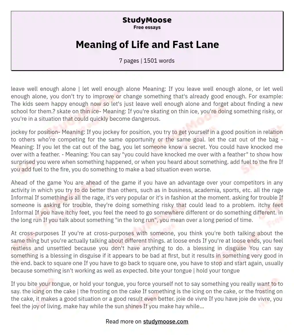 Meaning of Life and Fast Lane essay