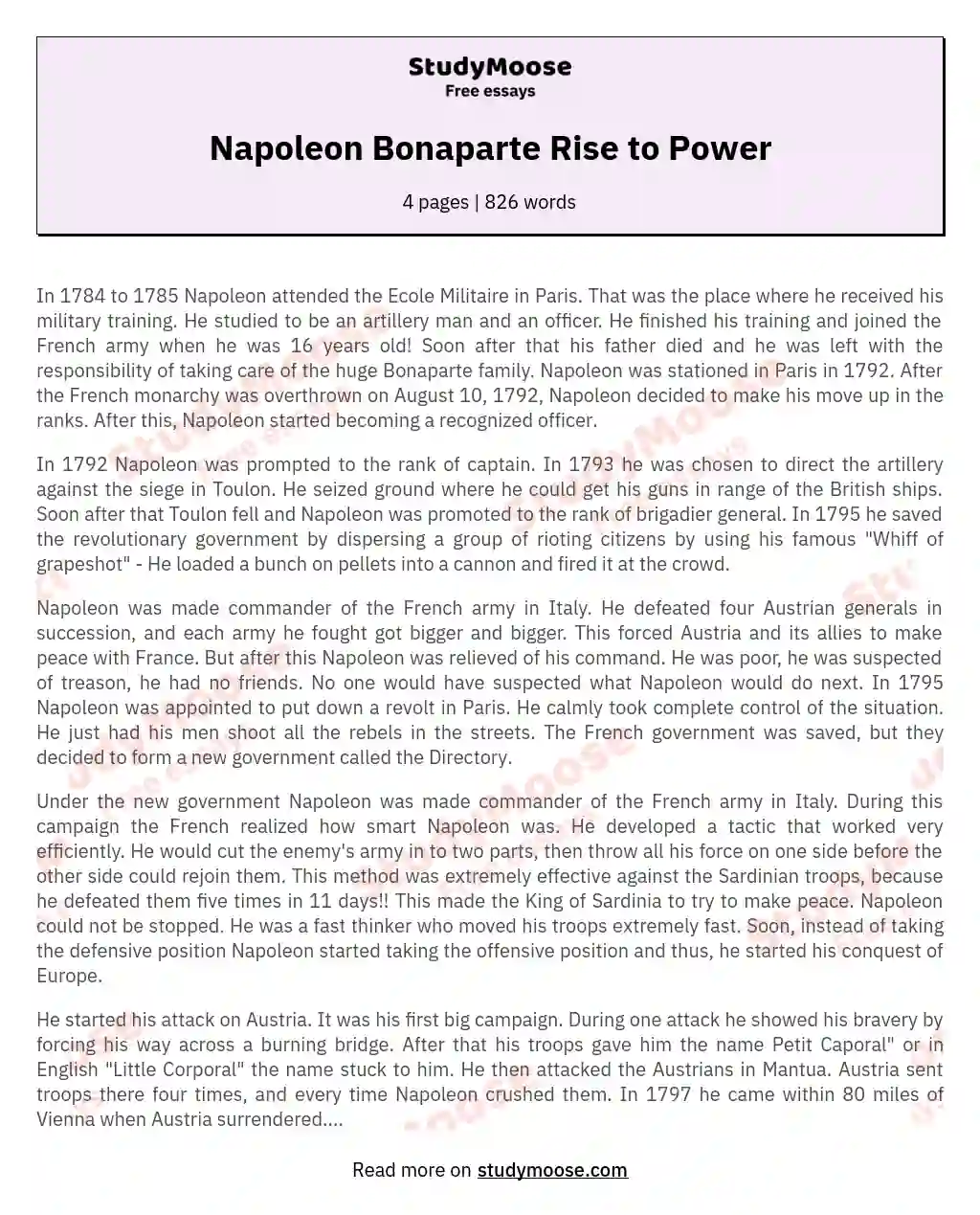 Napoleon Bonaparte Rise to Power