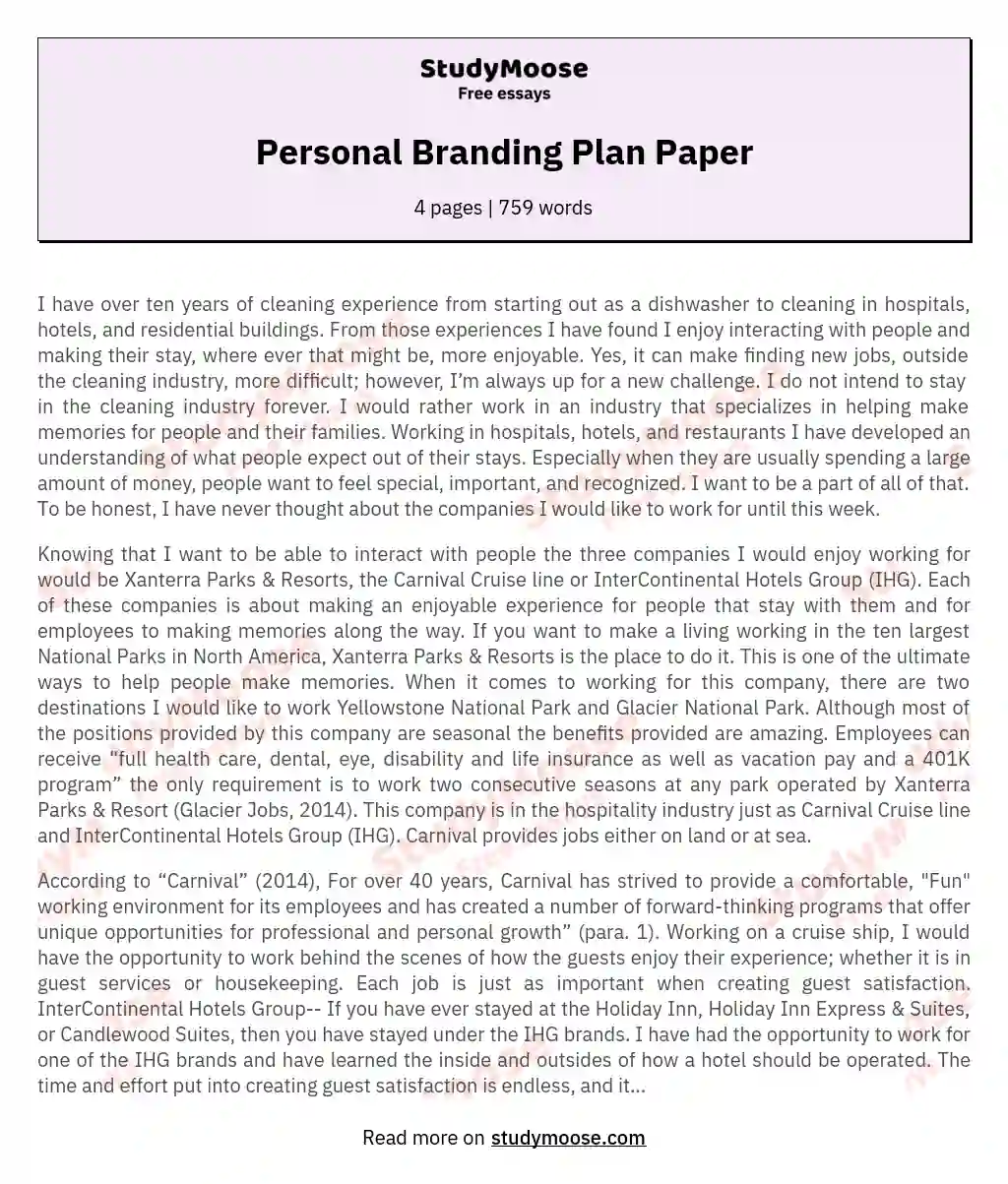 Personal Branding Plan Paper essay