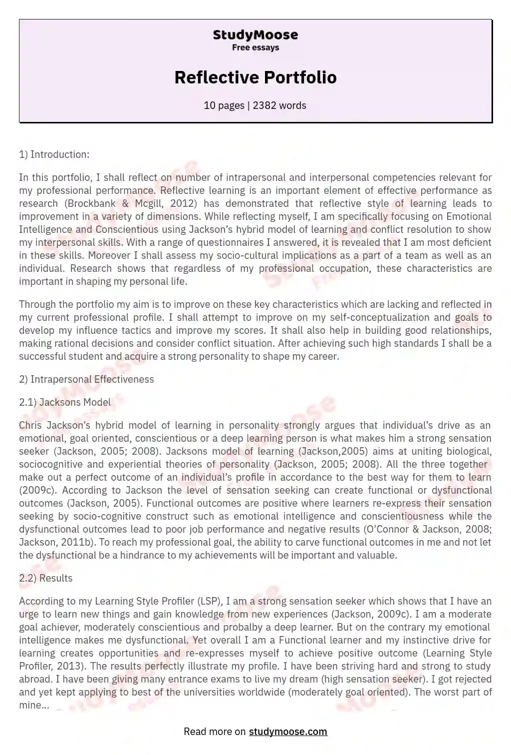 Reflective Portfolio Free Essay Example