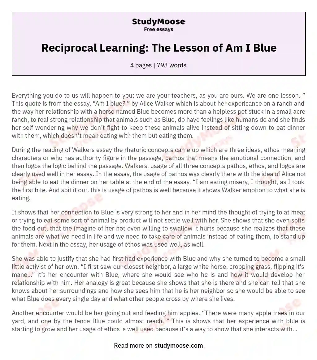 Reciprocal Learning: The Lesson of Am I Blue essay
