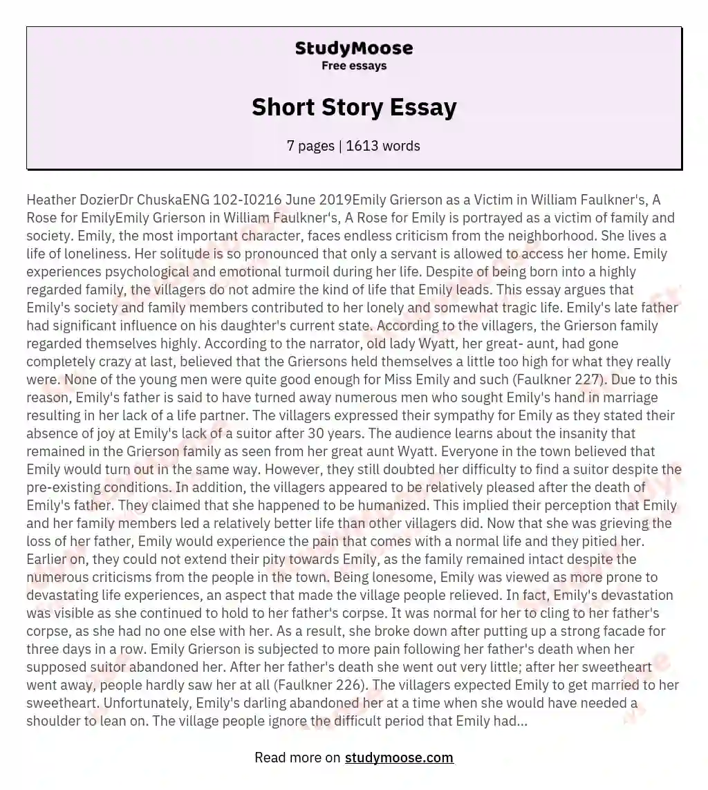Short Story Essay essay