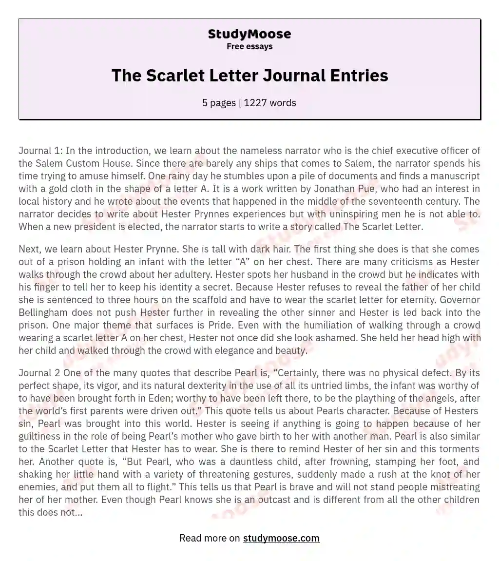 The Scarlet Letter Journal Entries