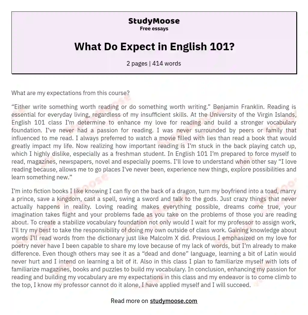 What Do Expect in English 101? essay