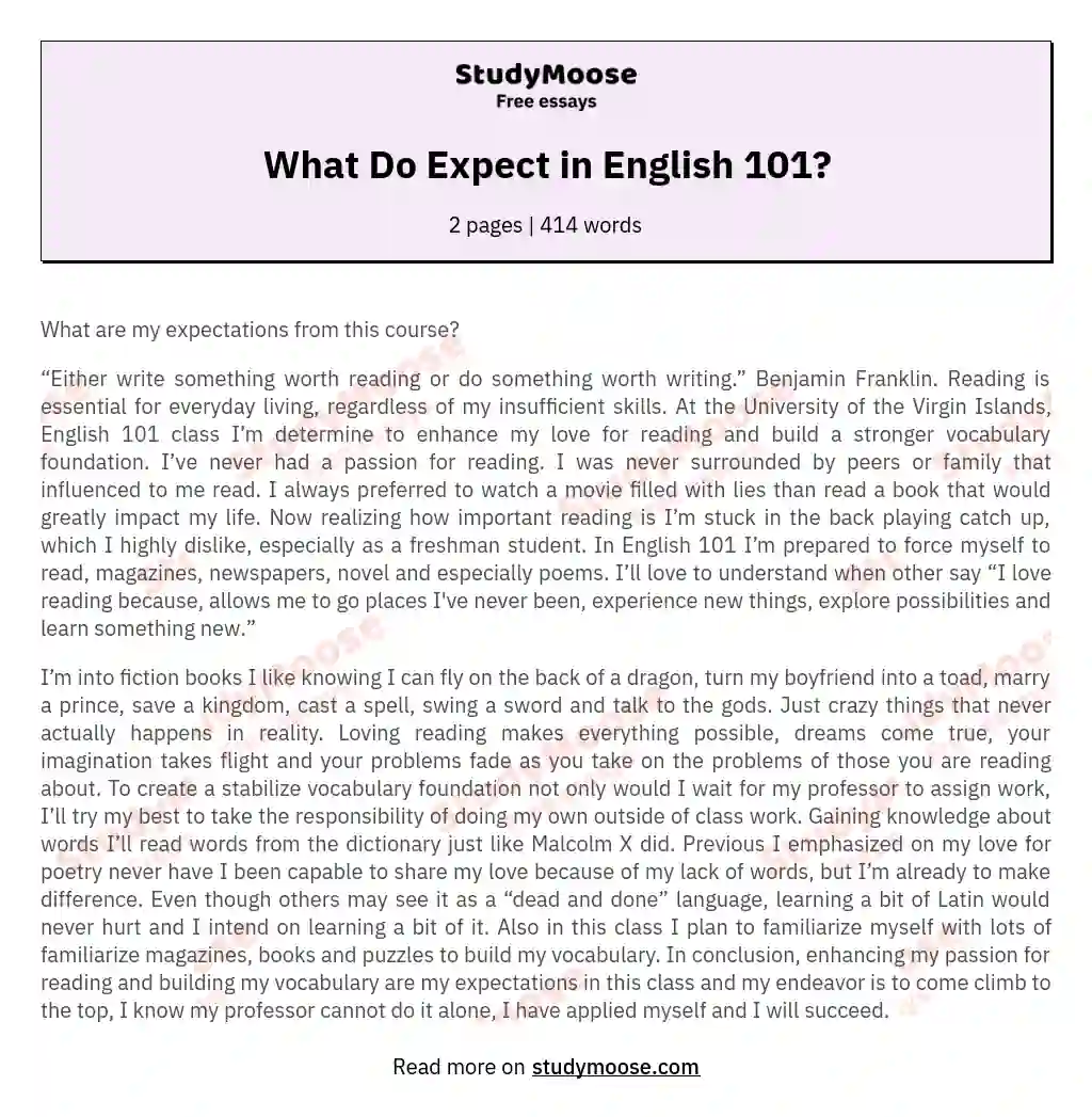 English 101 Essay Sample What Do You Expect? Free Essay Example